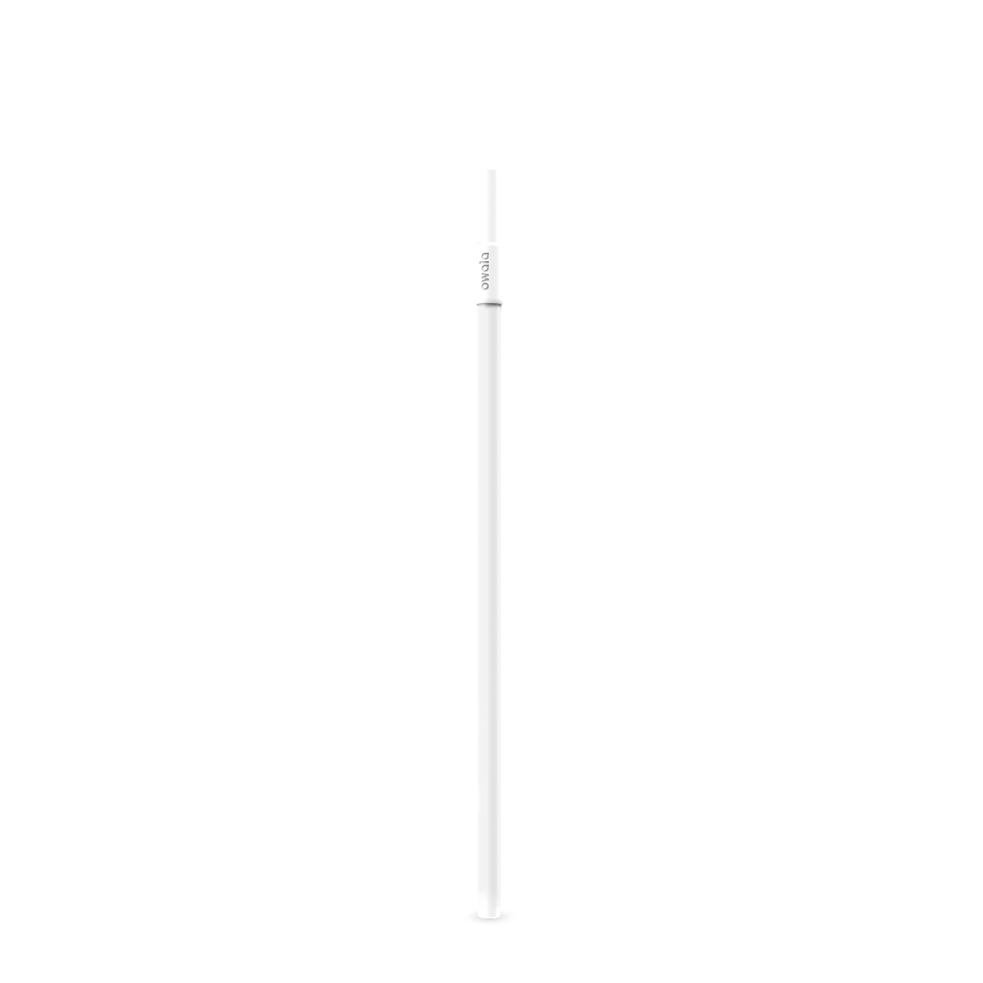Replacement Straws E2